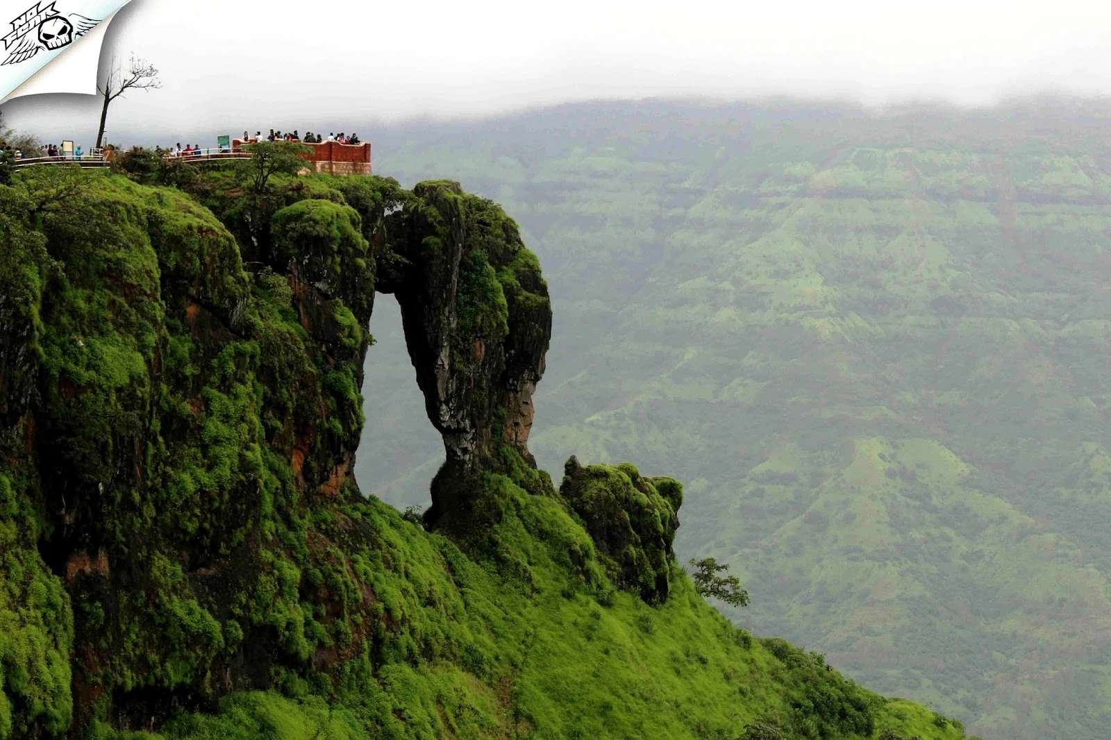 Mahabaleshwar Force Urbania